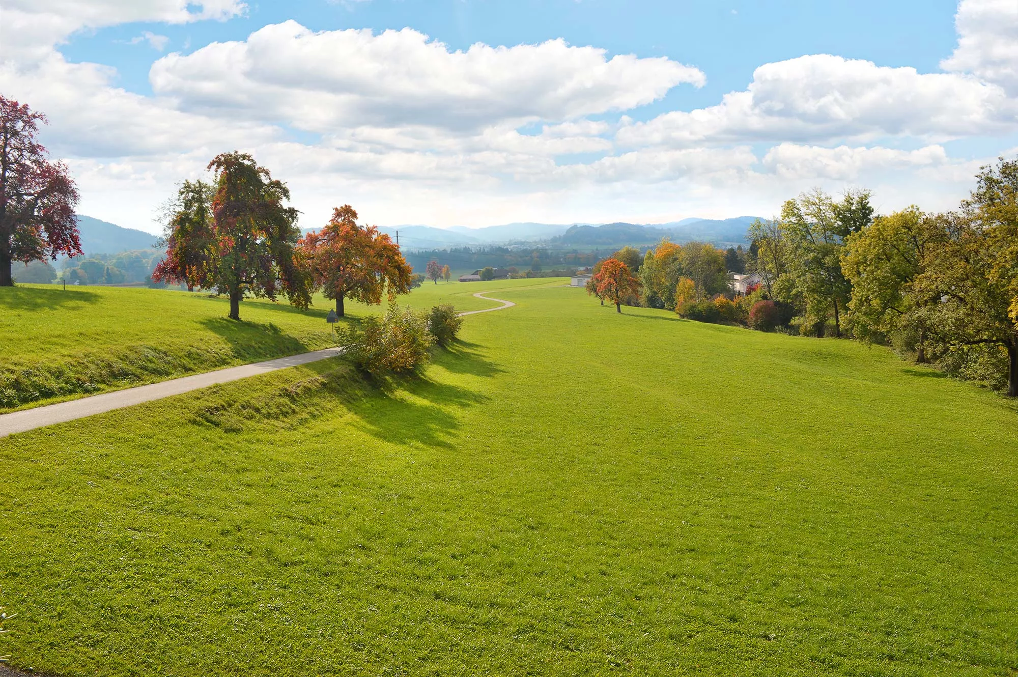 sonnenwiese-header